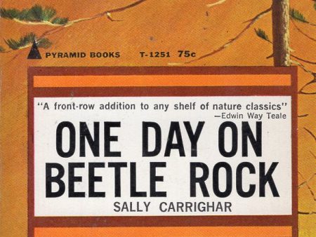 One Day On Beetle Rock Hot on Sale