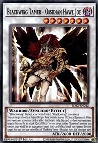 Blackwing Tamer - Obsidian Hawk Joe [LDS2-EN042] Common Online