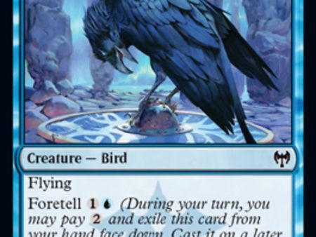 Augury Raven [Kaldheim] Cheap