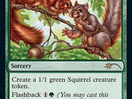 Chatter of the Squirrel [Secret Lair Drop Series] Cheap